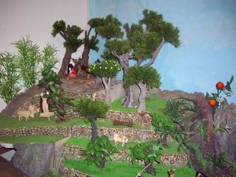 IMGP8475.JPG